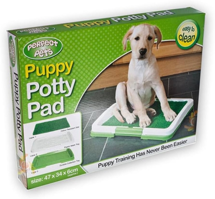 قاعدة بادز للكلاب الصغيرة 