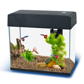  Basic 8 slim Aquarium Black