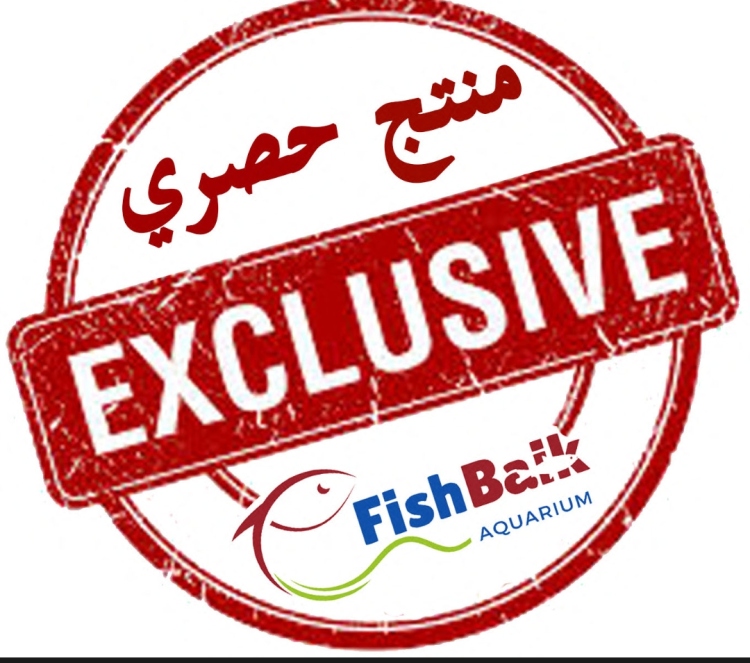مزيل الطحالب الخيطية من د. تانك