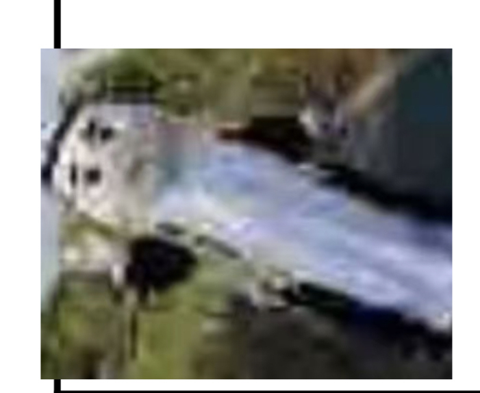 العاب كرتونيه 