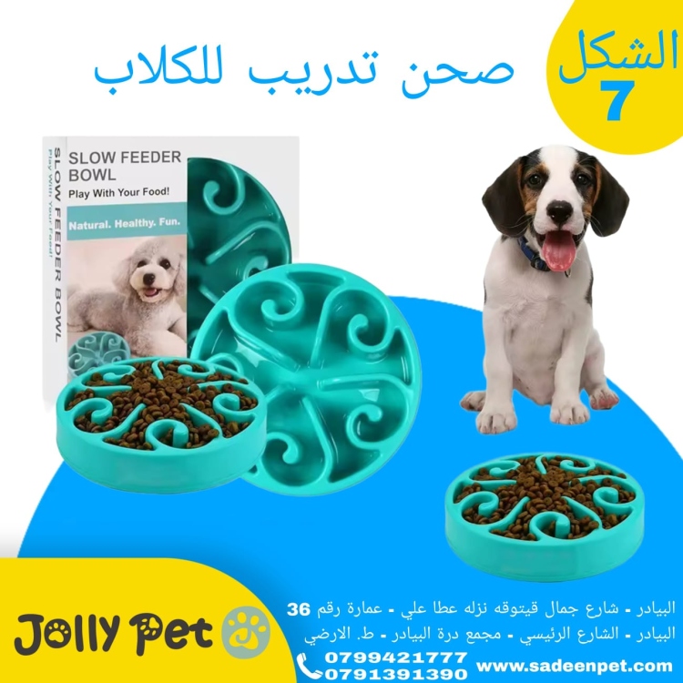 صحن تدريب للكلاب 7