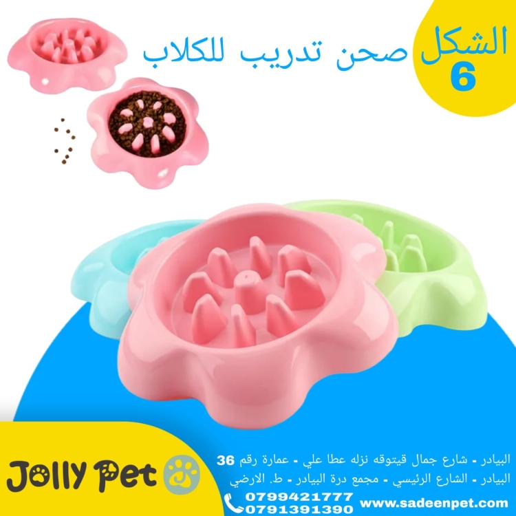 صحن تدريب للكلاب 6