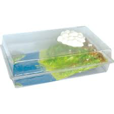 دورة الماء في الطبيعه 