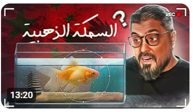 السمكة الذهبية 🐡