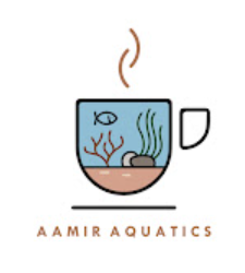 السمكة الذهبية 🐡