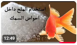 الملح في الأحواض 