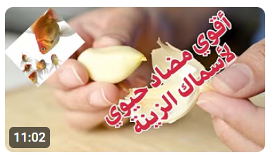 مضاد حيوي فعال 