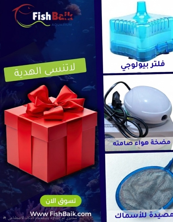 البكج الاقتصادي