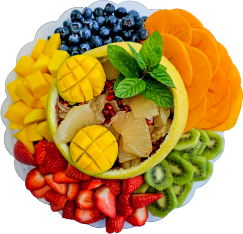 بلاتر الفصول الأربعة