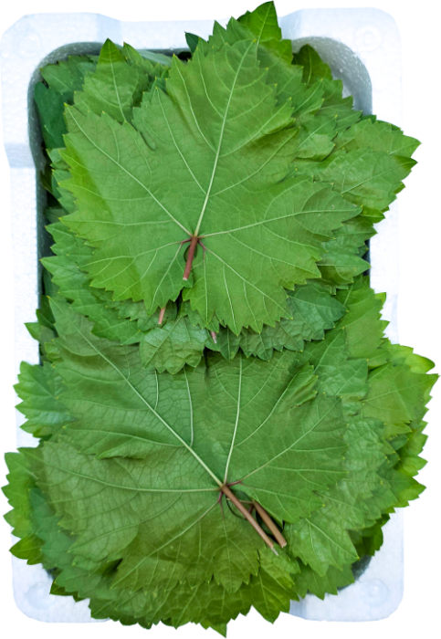 ورق عنب شرحة