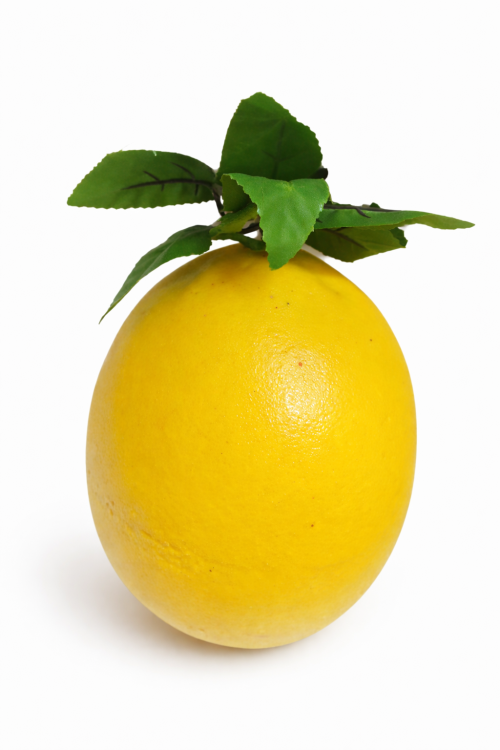 مجسمات فواكة 