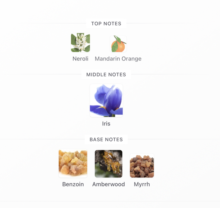 Eli Saab Elixir Perfume 