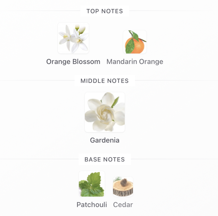 Eli Saab Le Parfum Essentiel 