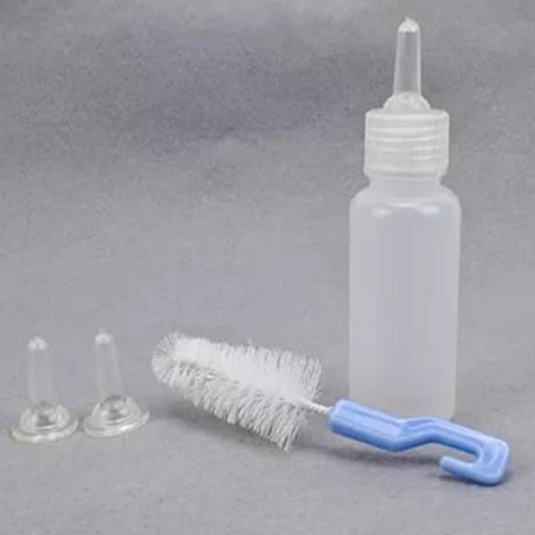 رضاعة القطط الصغيرة 