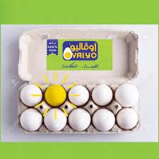بيض اوفاليو XL
