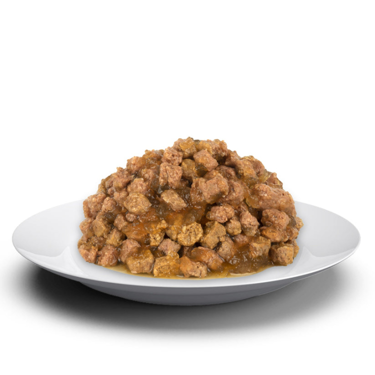 فيليسيا سالمون للقطط البالغة