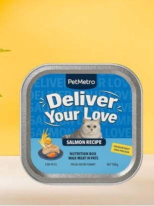 بيت ميترو سالمون باني 