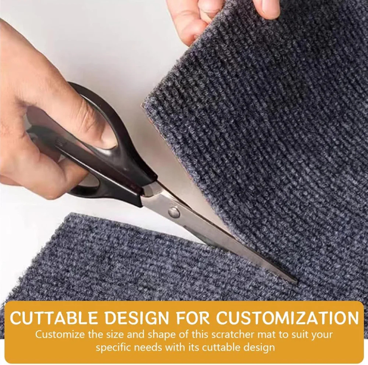 و كنب من خدش القطط 