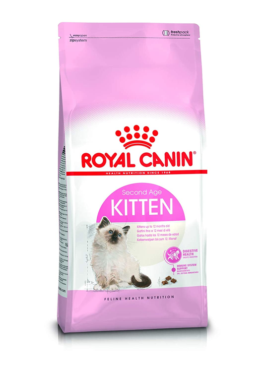 royal canin kitten