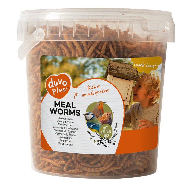 Duvo plus Meal worms 