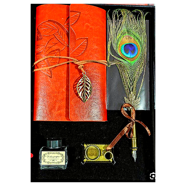  قلم مع محبرة