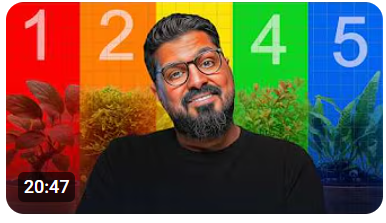 أسهل نباتات للمبتدئين 