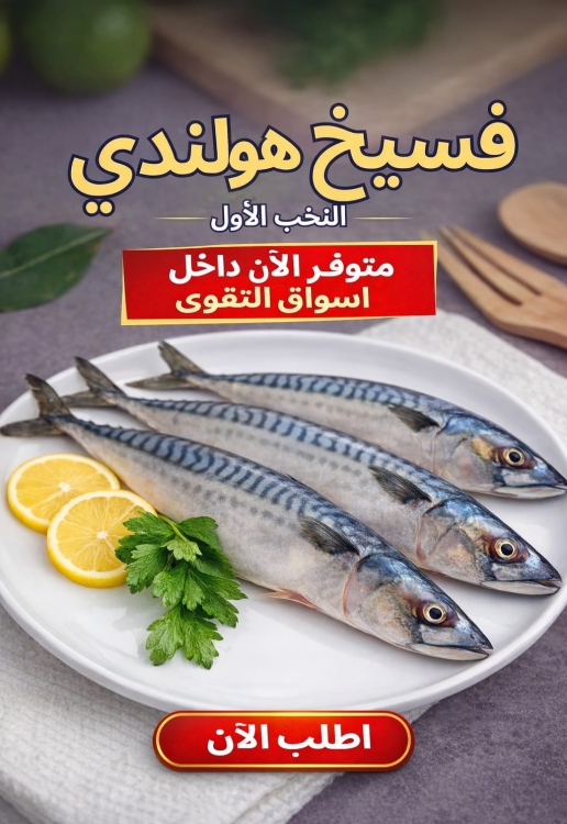 فسيخ هولندي نخب اول