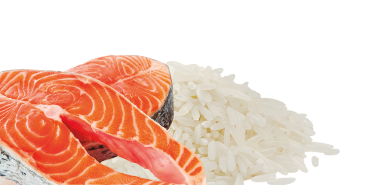 HappyOne Adult Dog - Salmon and Rice 15kg Super Premium