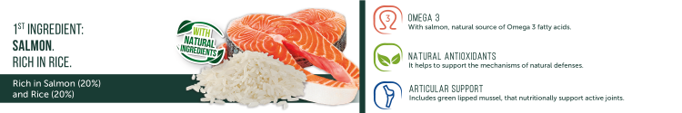 HappyOne Adult Dog - Salmon and Rice 15kg Super Premium
