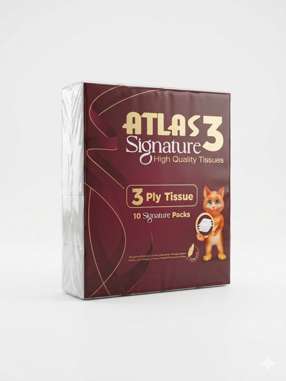 فاين اطلس ثلاث طبقات 