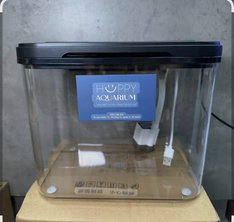 حوض من الأكريليك شفاف