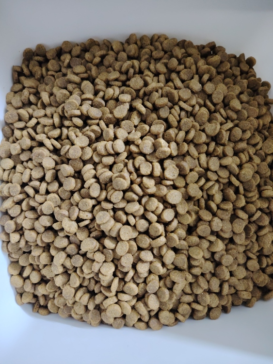 دراي فود كاليما نكهة الدجاج للقطط البالغة بالتوزين