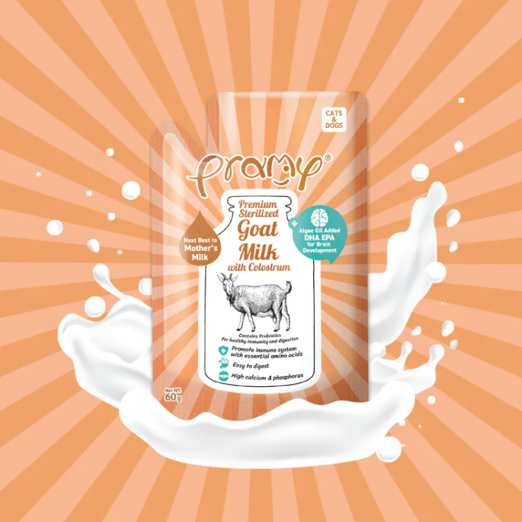 حليب ماعز معقم من برامي مع اللبأ + زيت الطحالب + البروبيوتيك 60 غرام