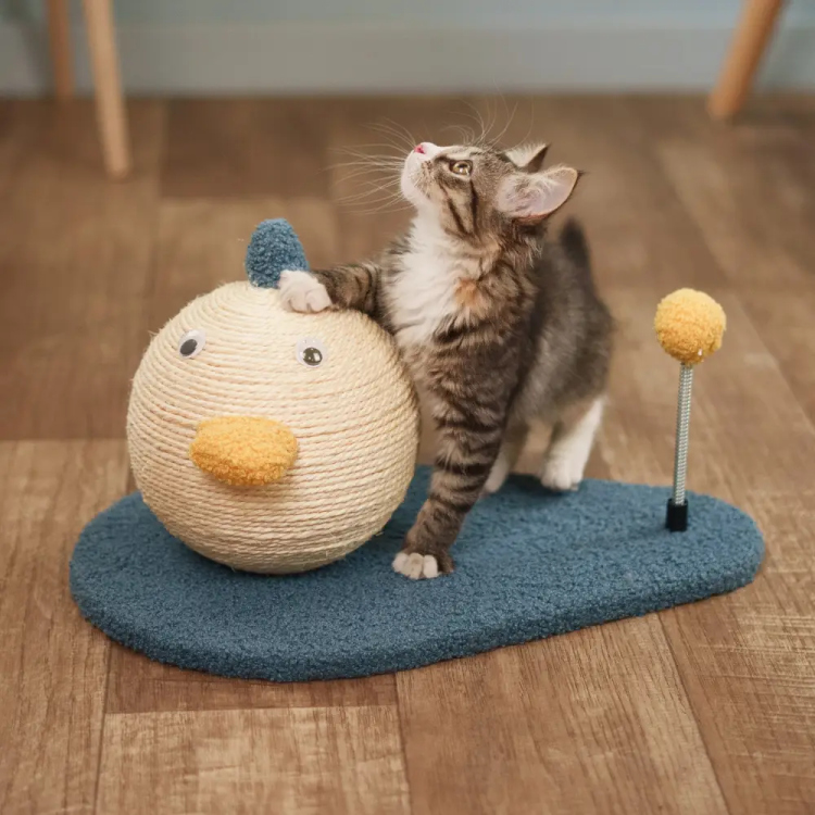 لعبة خداشة القطط المميزة 