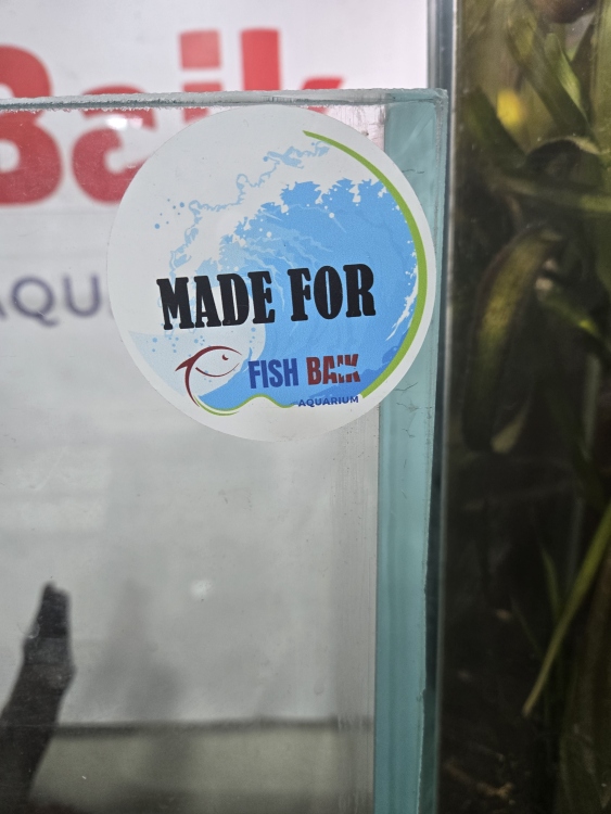 حوض سمك مع طاولة بقياسات مميزة