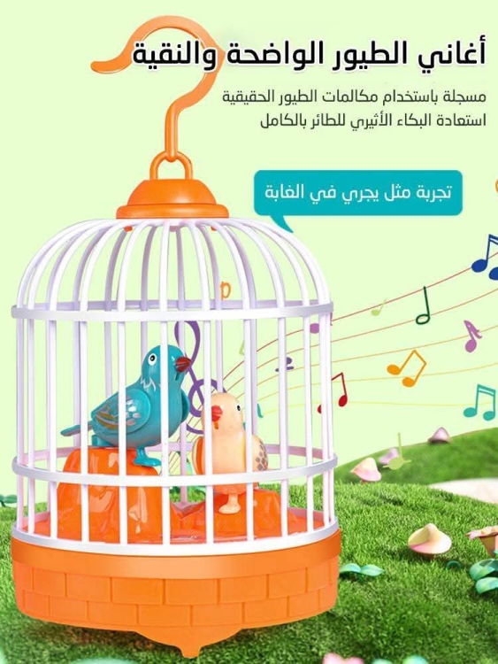 قفص العصفور 