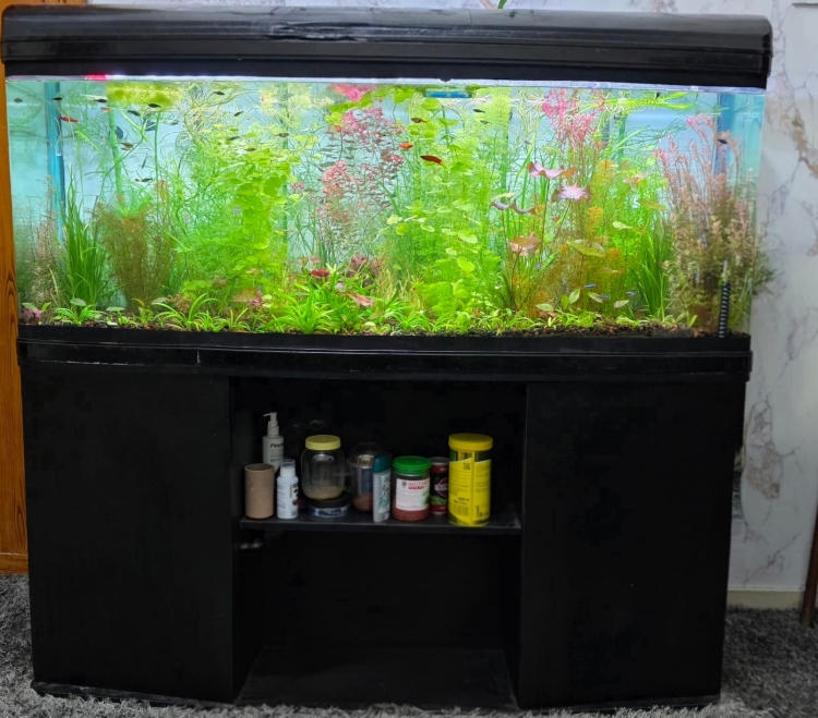 حوض سمك كبير (مستعمل)