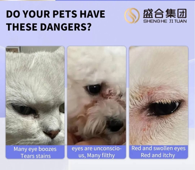 قطن منظف دموع العيون مضاد البكتيريا تركيبة نباتية