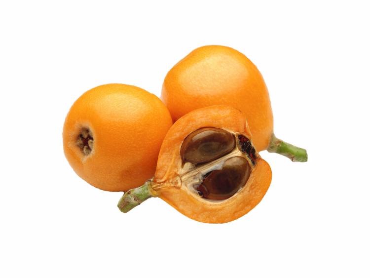 اسكدنيا - محلي