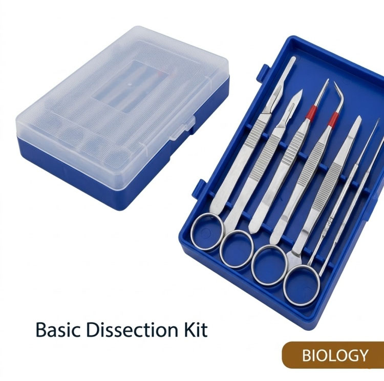 أدوات تشريح