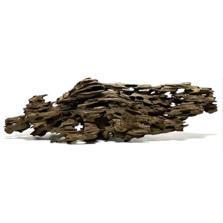 اخشاب دراغون 