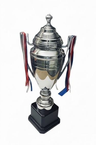 كأس فضي كبير 