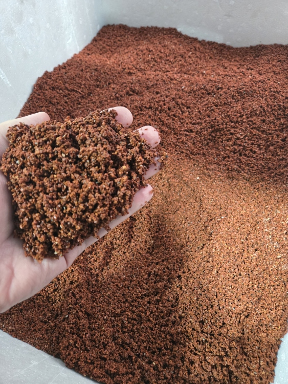 رمل أحمر معالج وجاهز سعر الكيلو