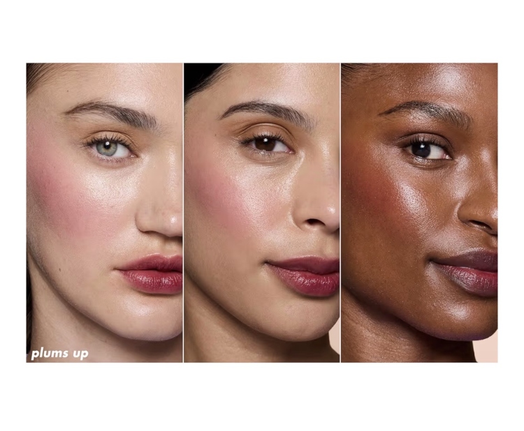 ELF Sheer For It Blush Tint, Multi-Use, Long-Lasting Lip & Cheek  Plums Up