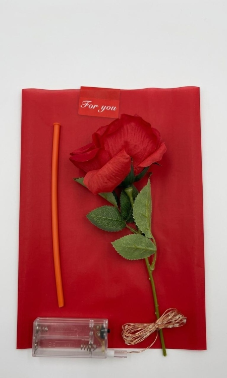 بالون زهور مع إضاءة LED