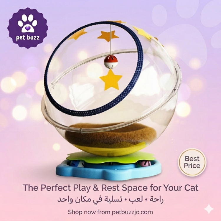 Interactive Pet Play Sphere – the ultimate entertainment hub