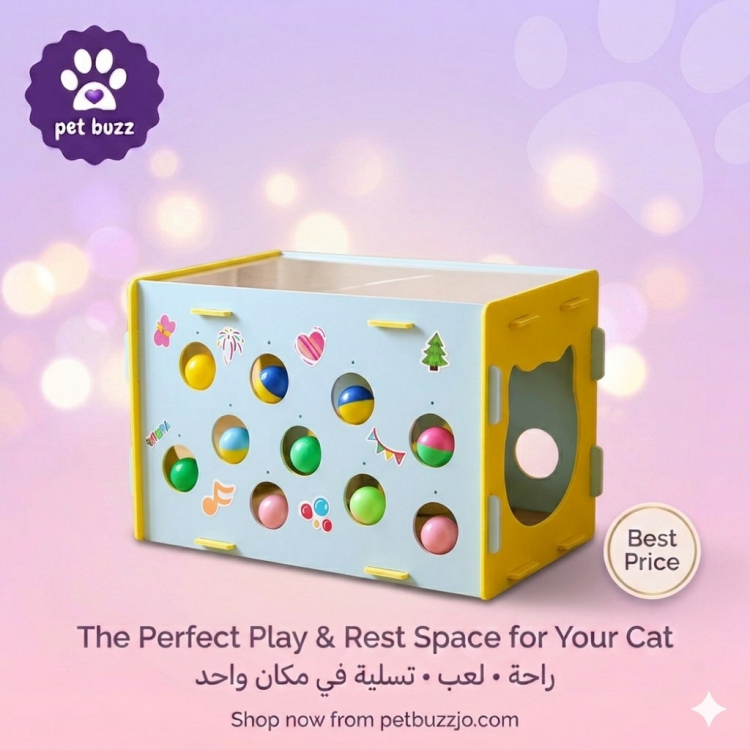 Dual-Layer Cat Playhouse