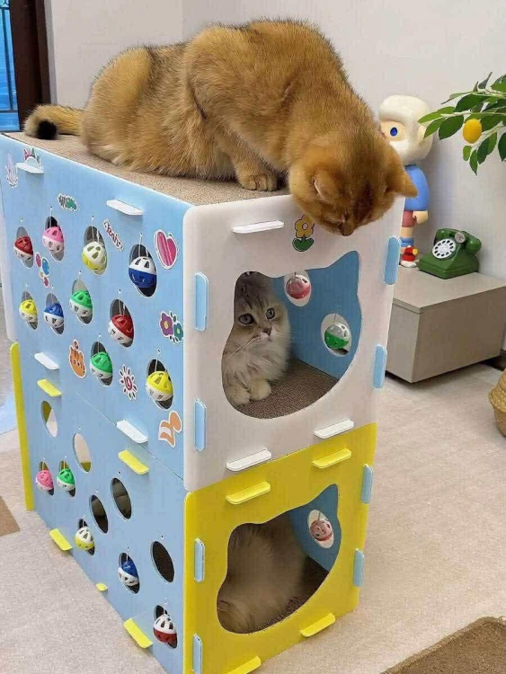 colourful cat play gyms are the ultimate combo of fun, comfort and enrichment! 