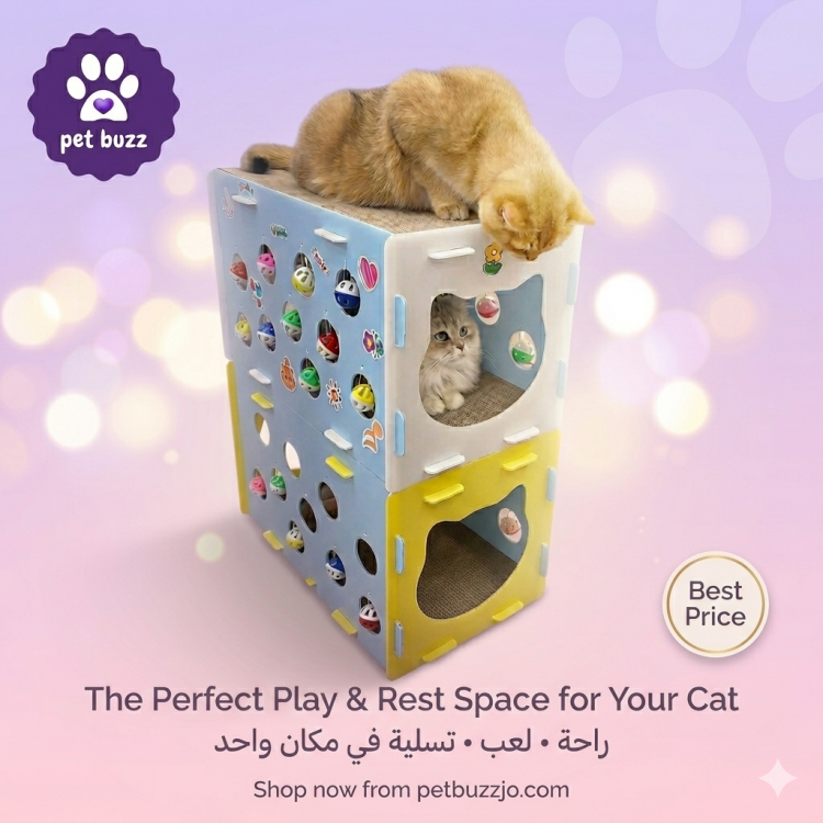 colourful cat play gyms are the ultimate combo of fun, comfort and enrichment! 