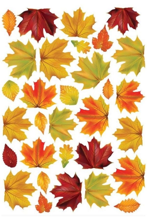 مشط ورق شجر  بلاستيك 